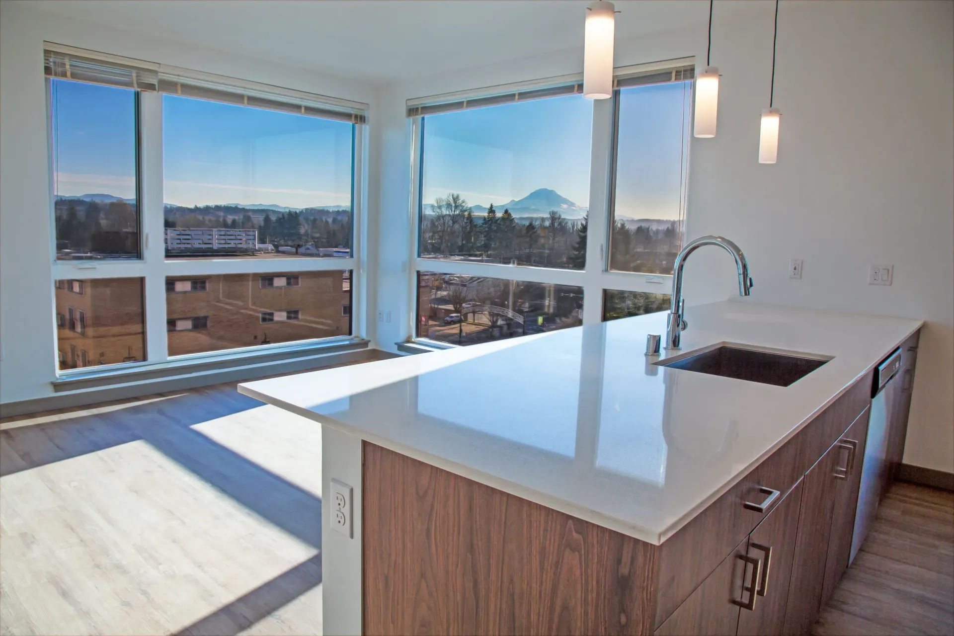 Kitchen island and Mount Rainier view