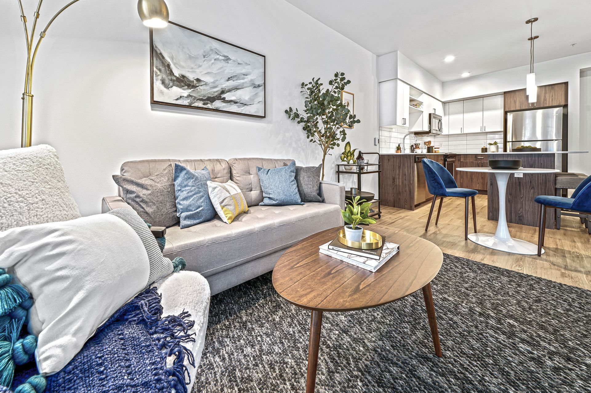 Apartment living room