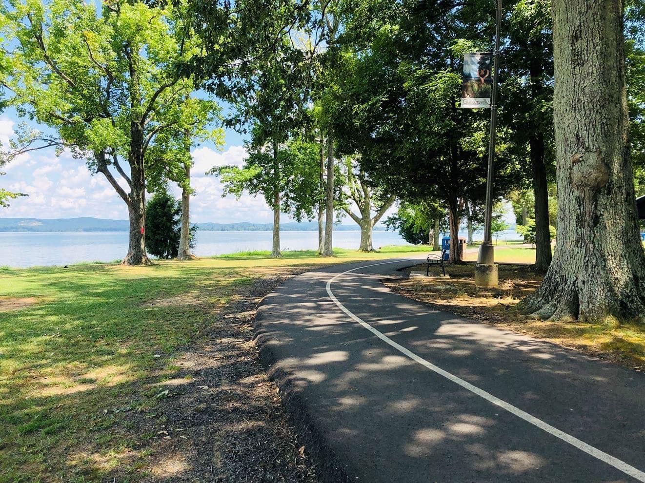 A road going through a park with trees and a lake in the background.