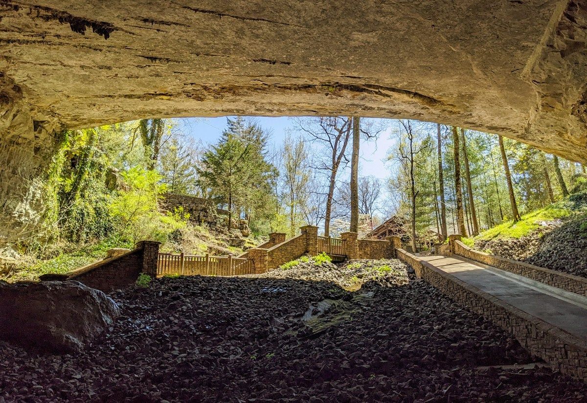 A view of a forest from inside a cave.