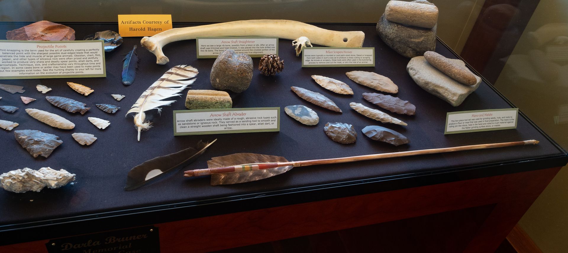 A display case with a lot of ancient artifacts on it