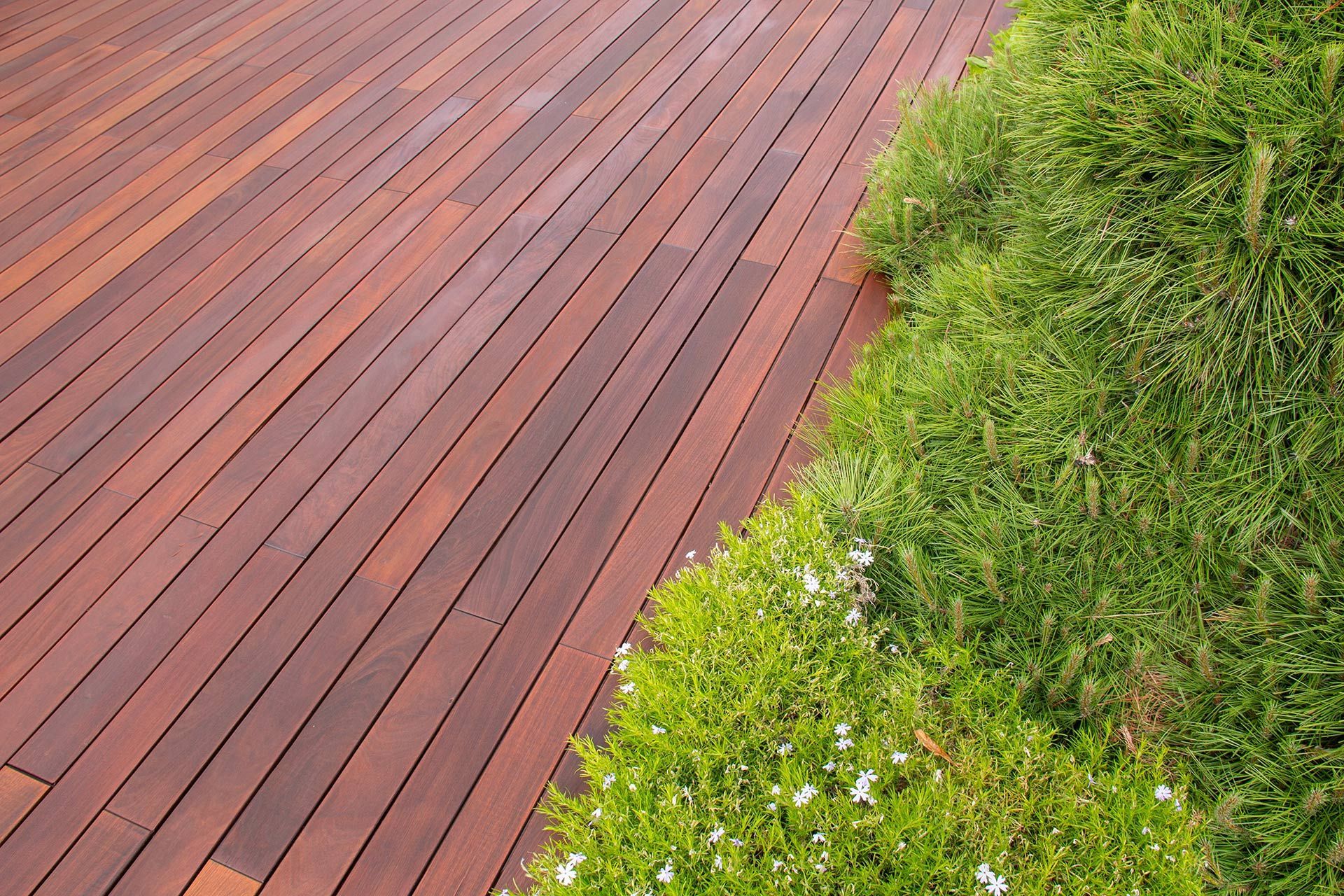 Wooden deck beside green grass and small white flowers