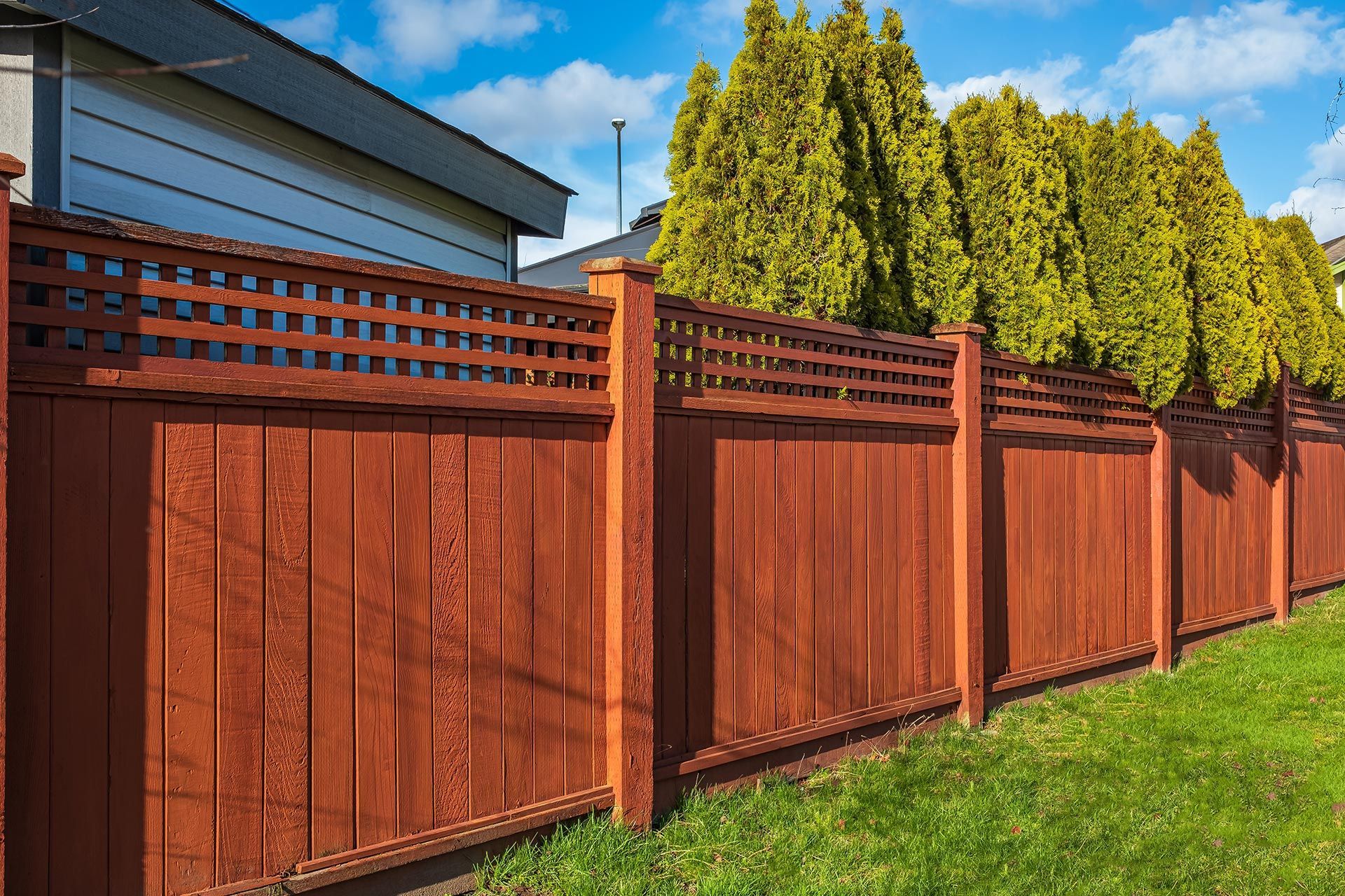 Wooden privacy fence with brick posts and tall evergreens along a suburban yard