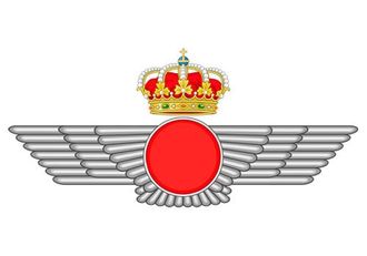 Ejercito del Aire