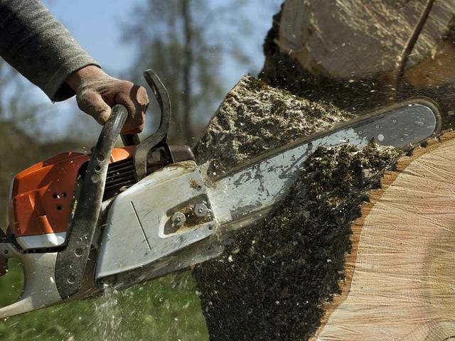 Person using a chainsaw to cut a tree trunk; wood shavings fly.