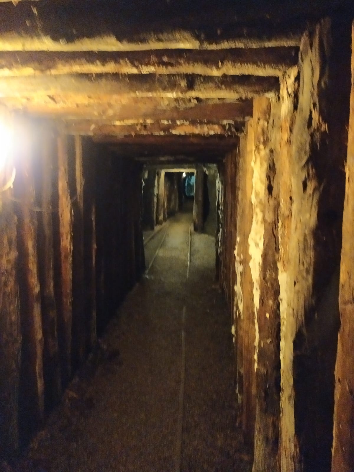 Miniera del Temperino