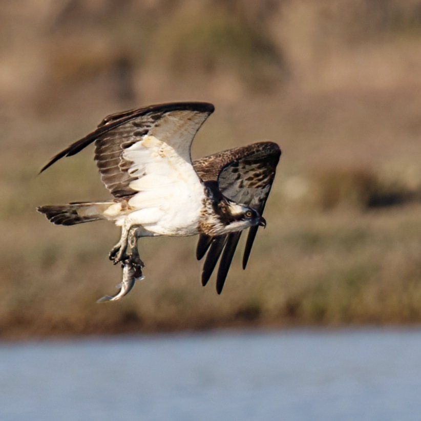 Orti Bottagone oasi wwf