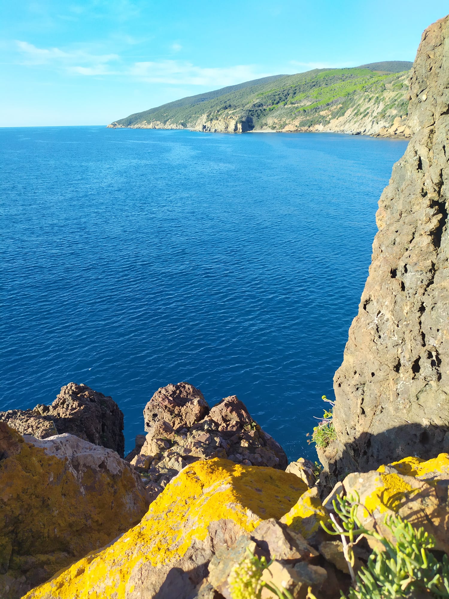 Punta Falcone, Piombino