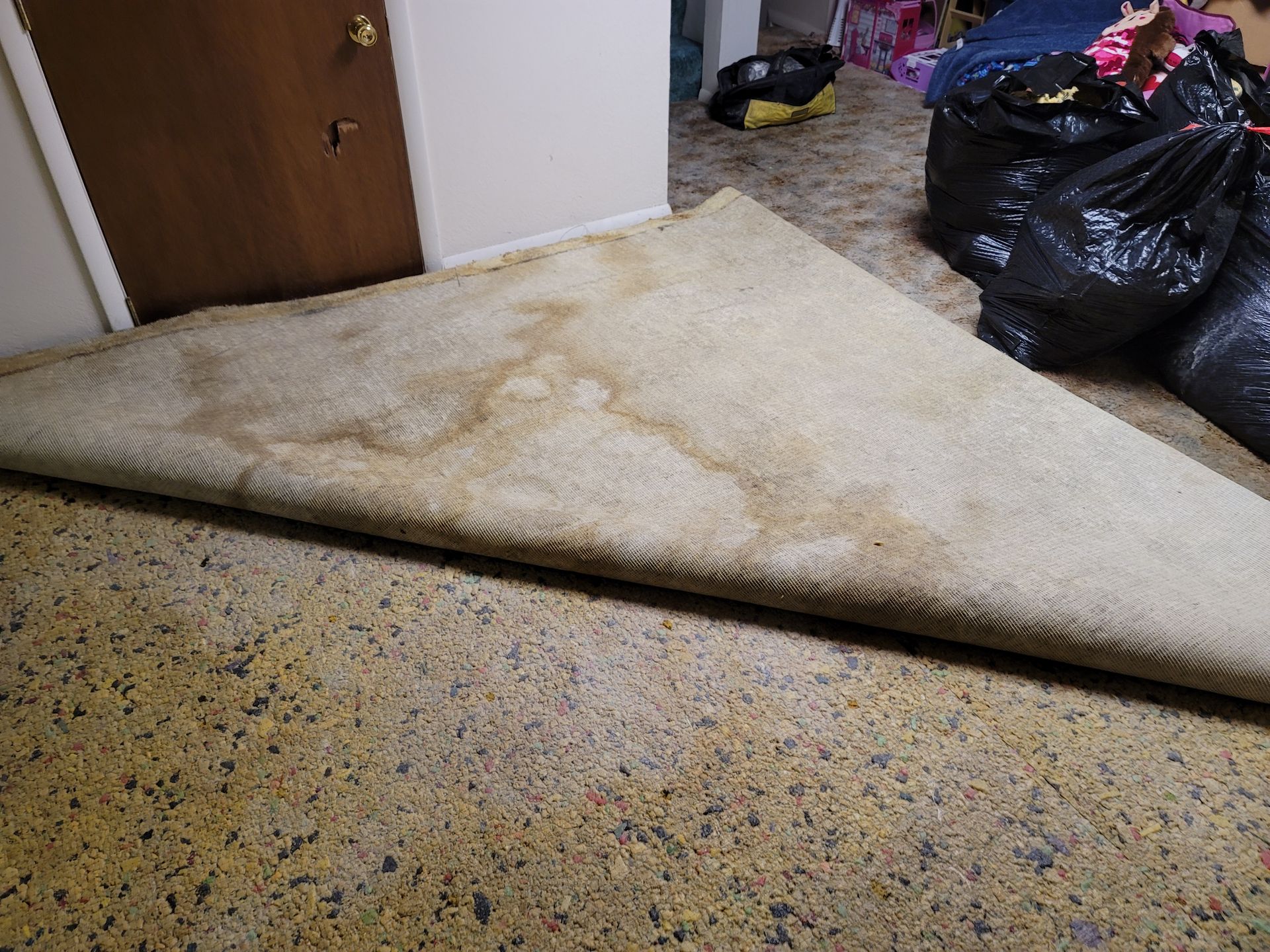 Triangular stained rug on speckled flooring, near a closed door and black garbage bags.