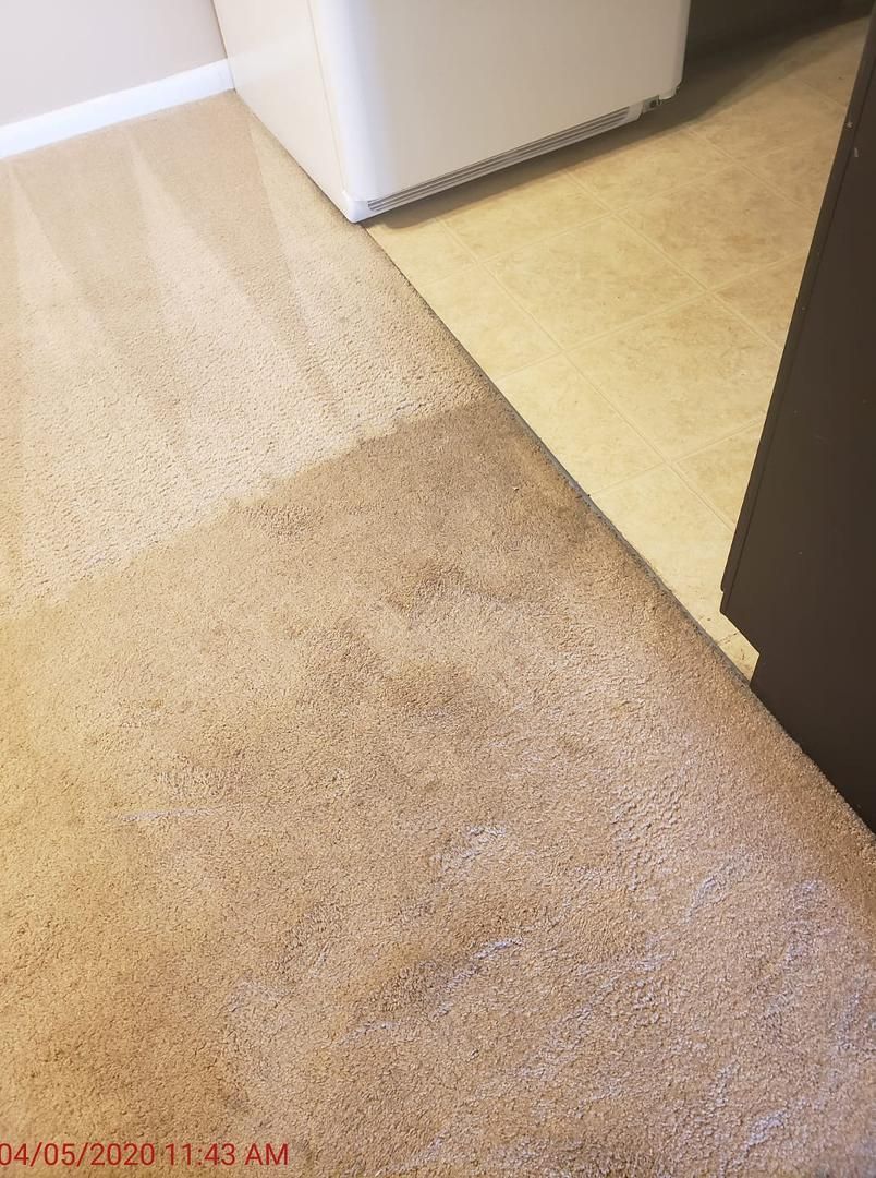 Carpeted area with a clear cleaning demonstration; before and after showing a lighter color after cleaning.