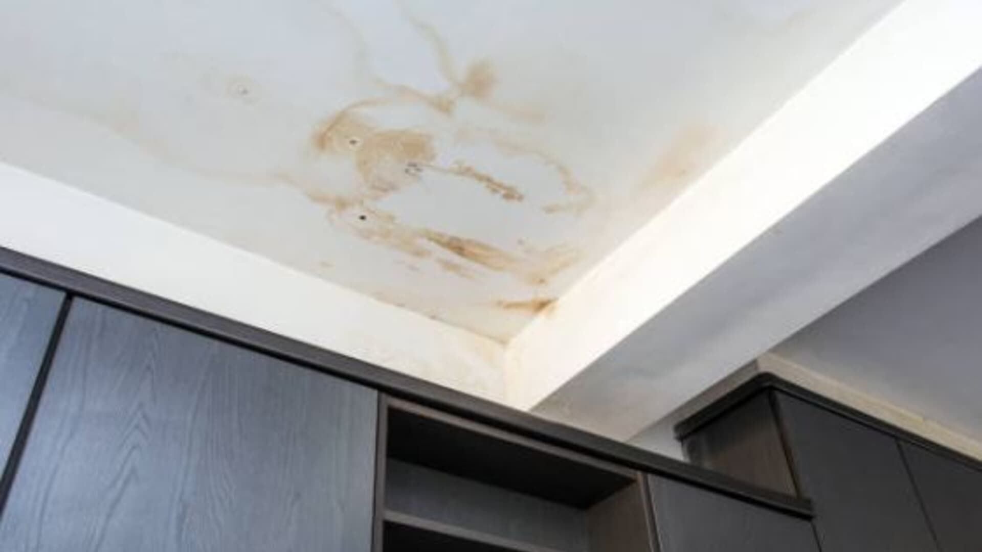 Water damage stain on a white ceiling above dark gray cabinets.