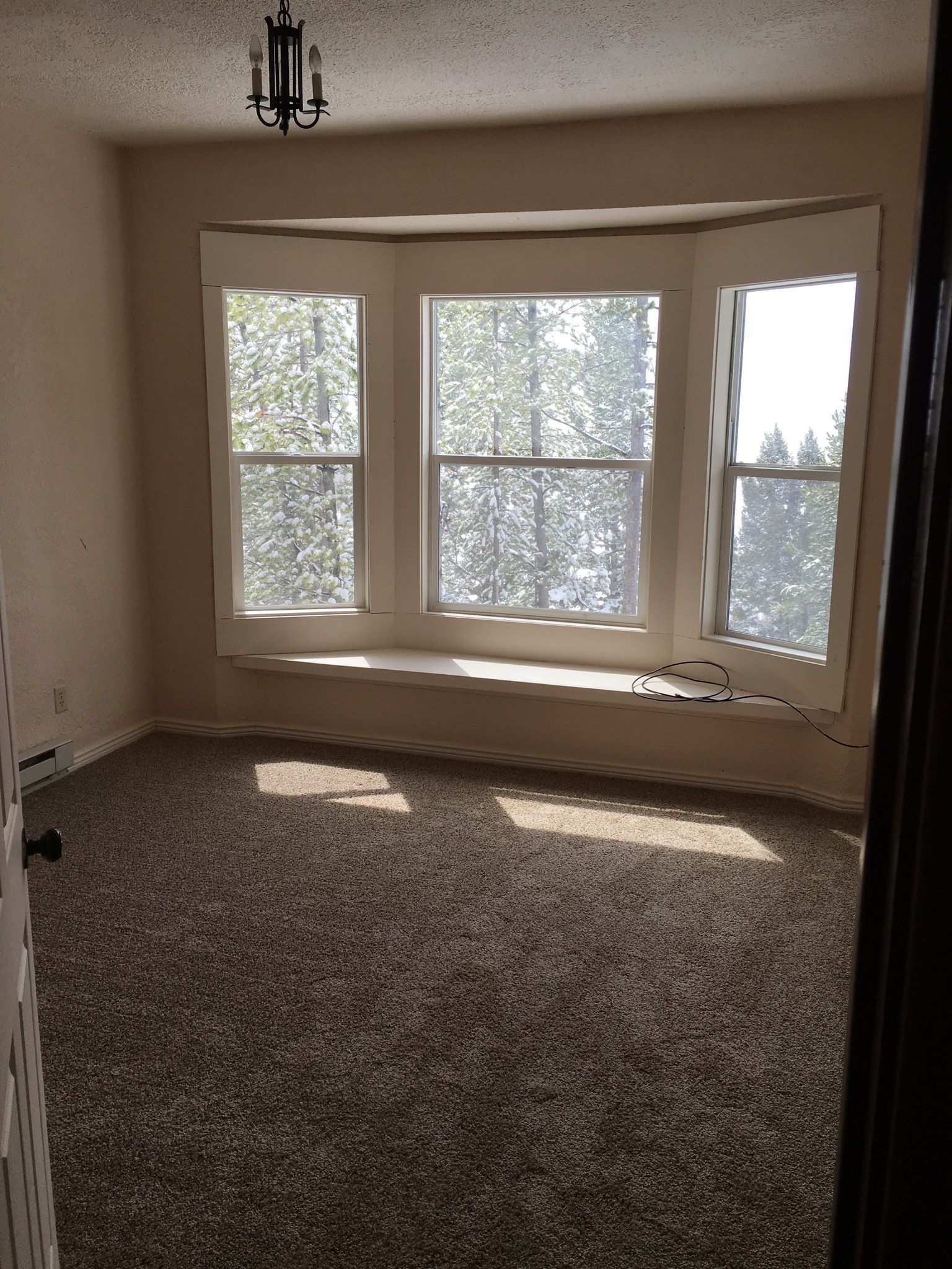 Empty room with a bay window and dark speckled carpet.  Sunlight streams in from outside.