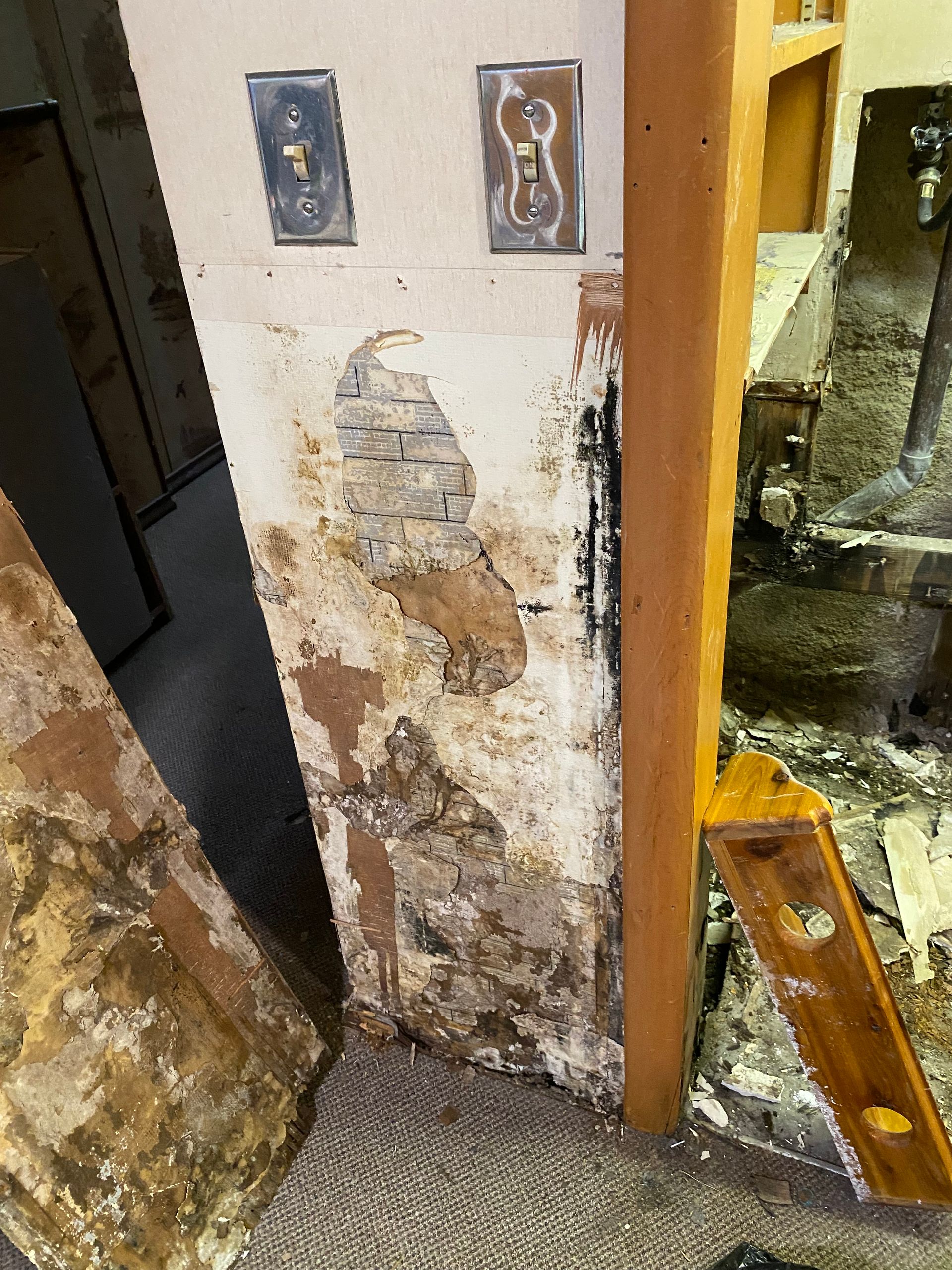 Wall with damaged plaster, exposed wood, and two light switches. Brown, white, and black discoloration present.