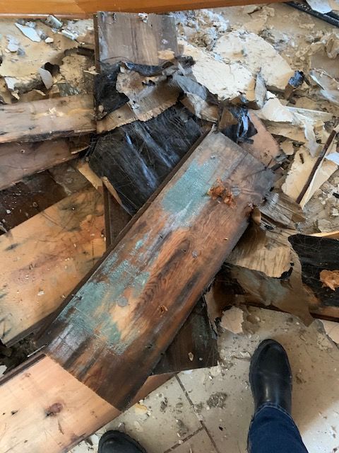 Damaged wood debris with green and black mold, leg and foot wearing black boot.