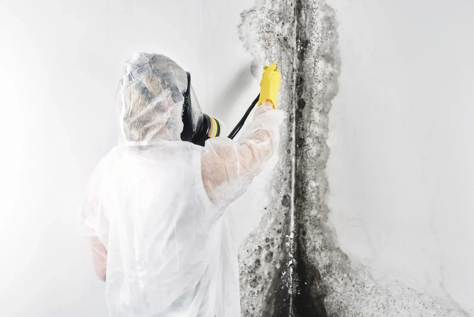 Person in protective suit spraying mold on a wall.