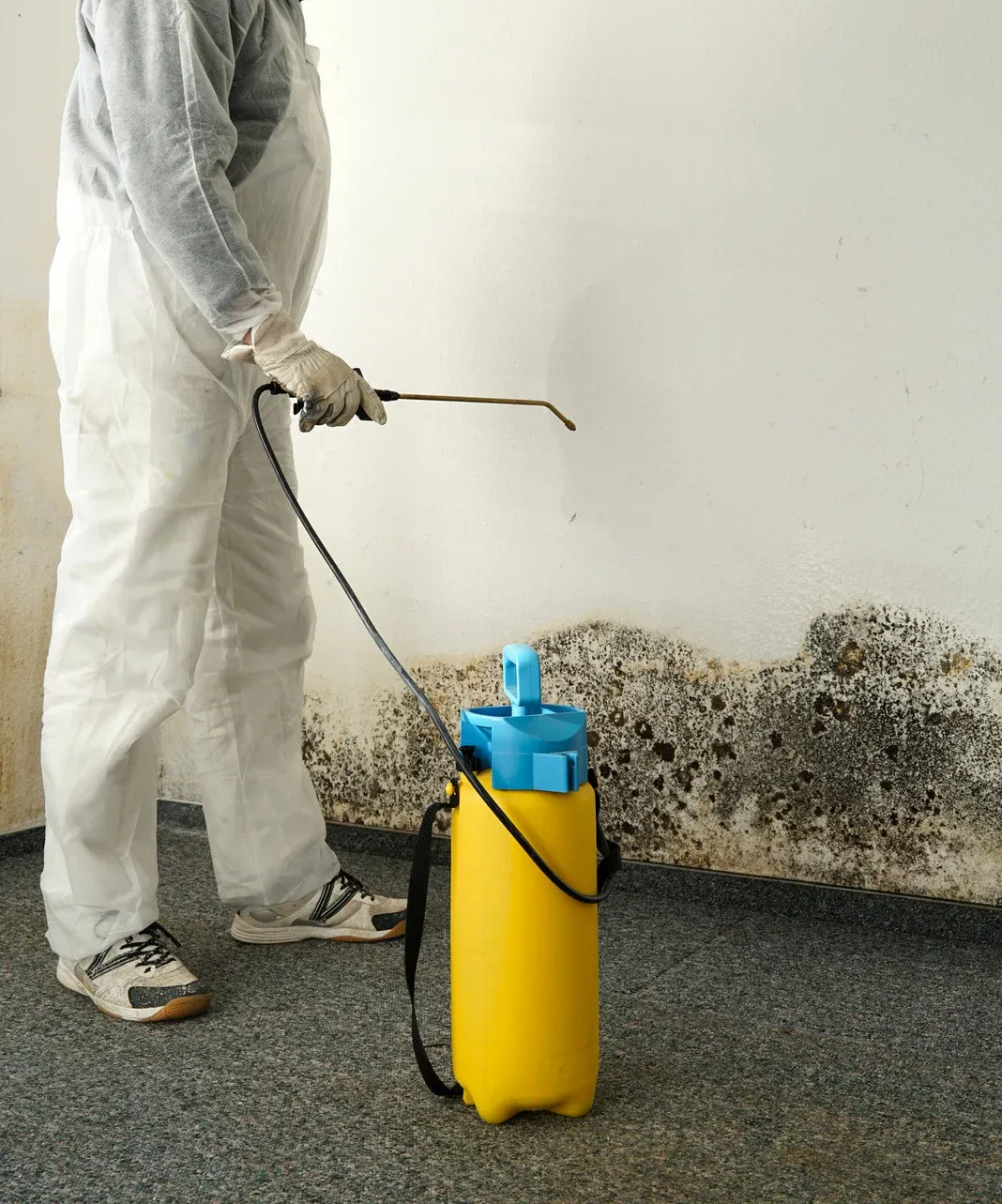 Person in protective suit spraying a moldy wall with a yellow sprayer.
