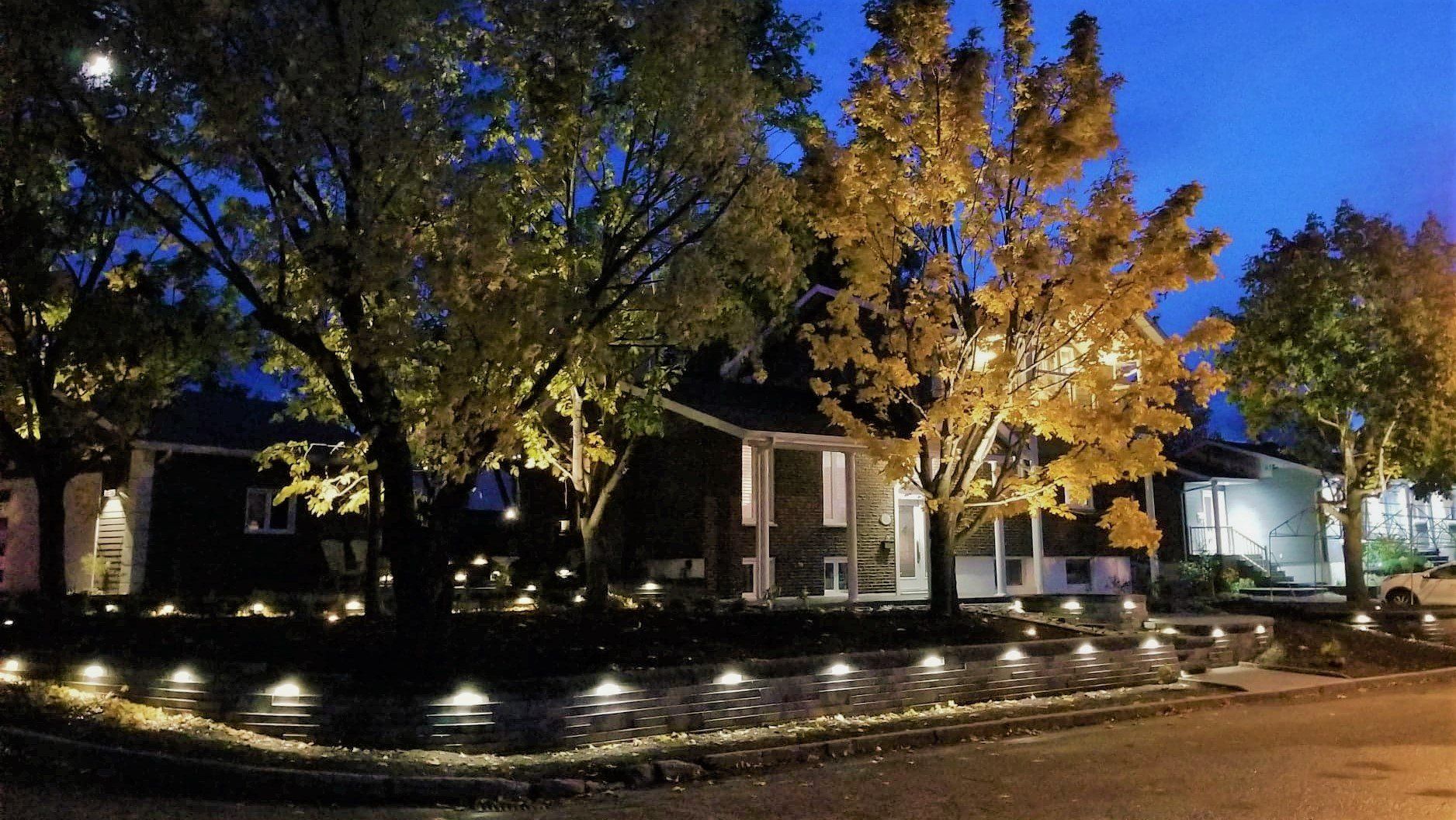 Une rangée de maisons et d'arbres sont illuminés la nuit.