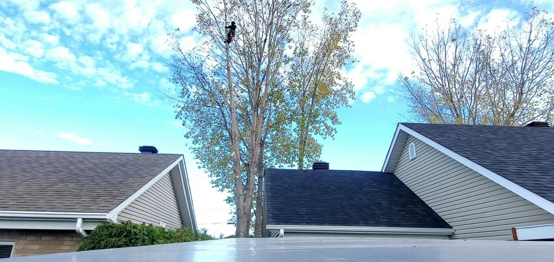 Une vue du toit d'une maison avec un arbre en arrière-plan.