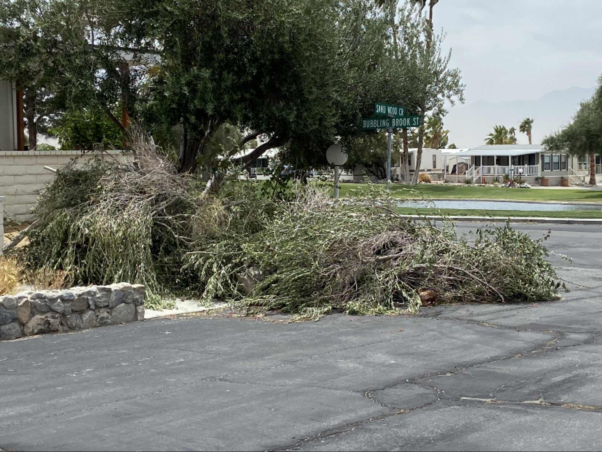 Pile of tree branches on asphalt near a street sign and mobile homes. Pile of tree branches on asphalt near a street sign and mobile homes.