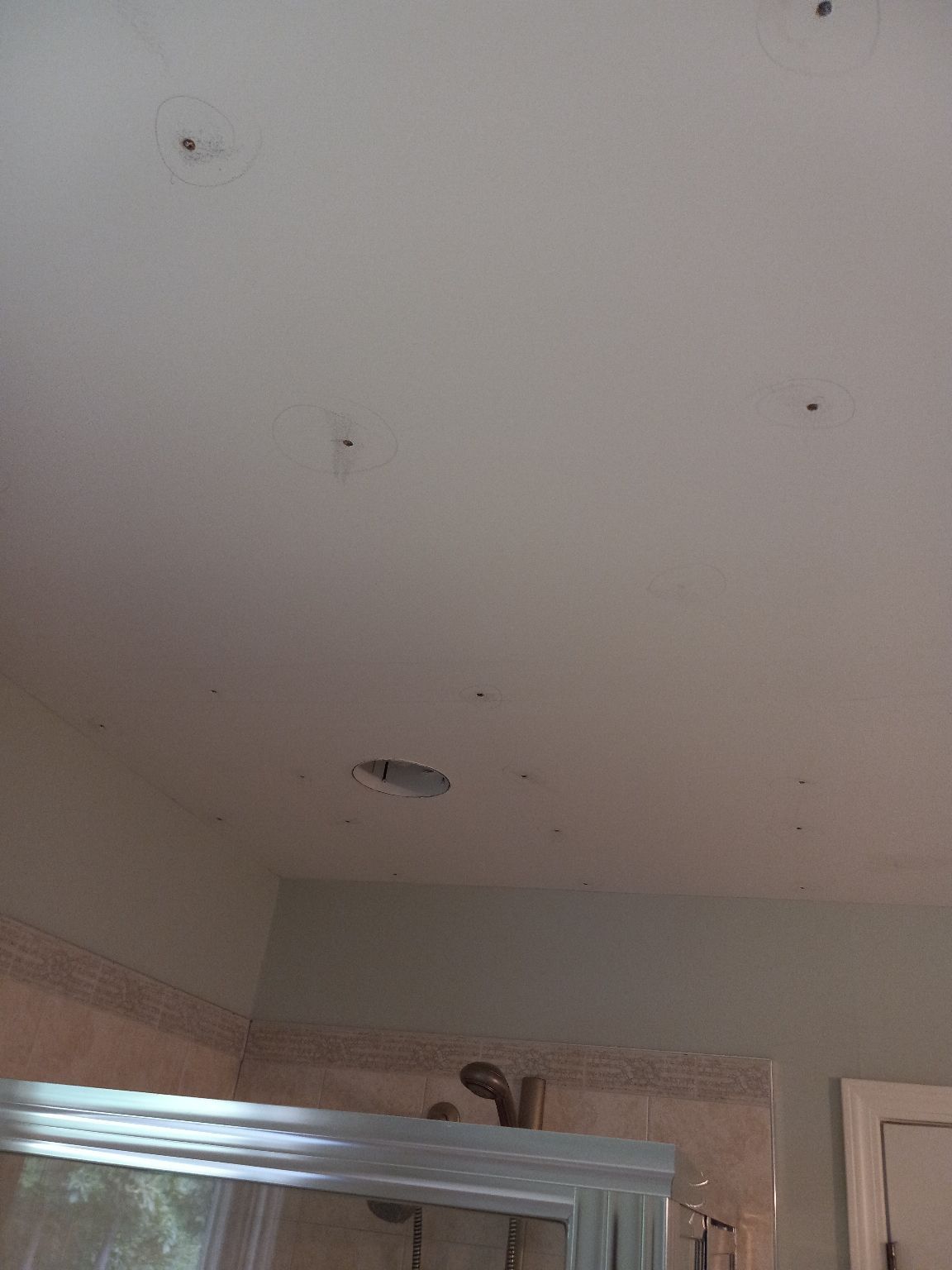 Bathroom ceiling with recessed light and multiple dark spots.