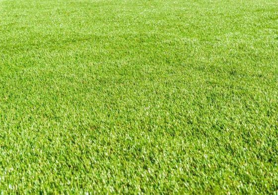 Artificial Grass Peterborough's best luxury fake grass lawn