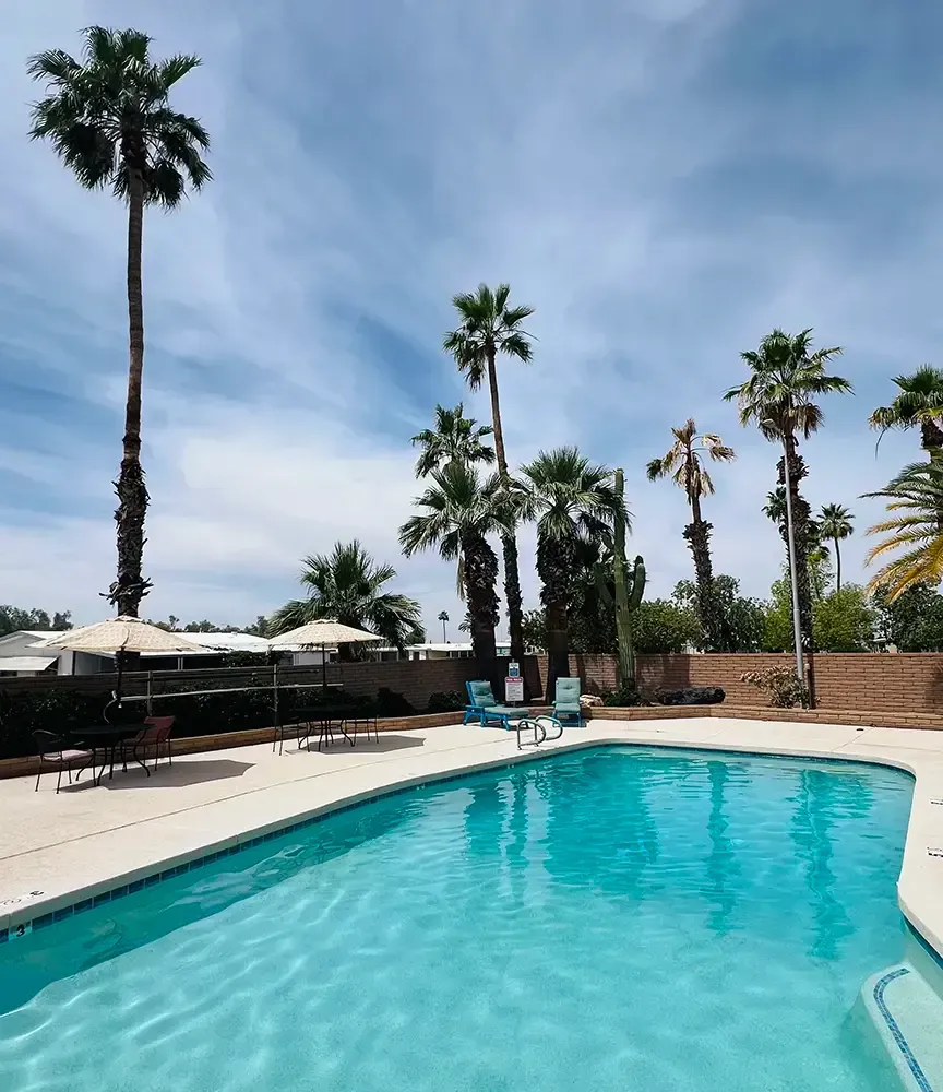 Sierra Del Saguaro Pool