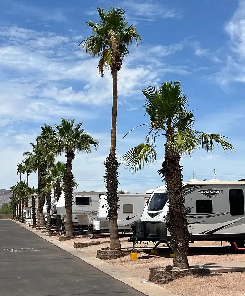 Sierra Del Saguaro RVs