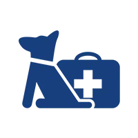 Sick Animals - Montrose, PA - Town & Country Veterinary Services