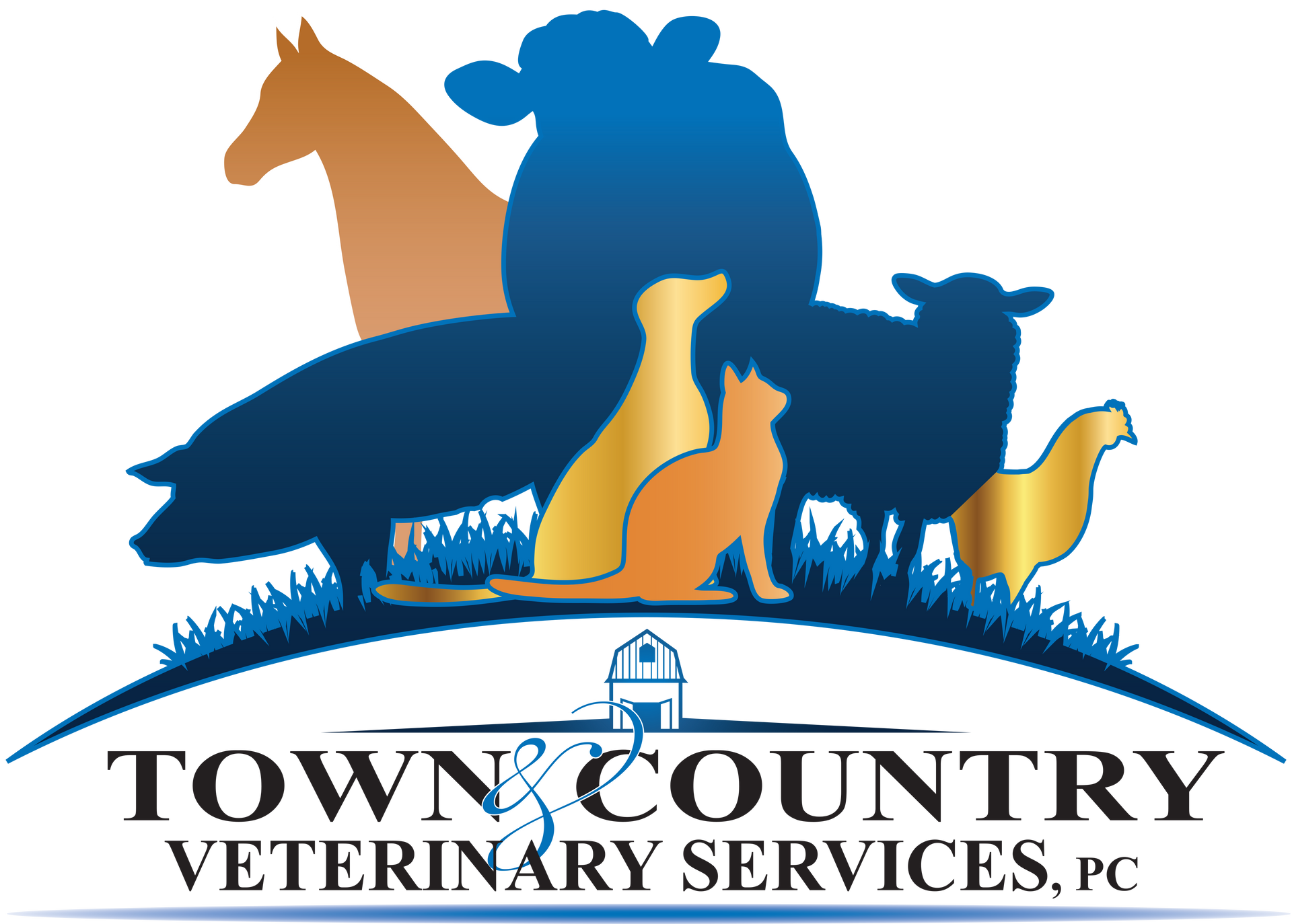 Town & Country Veterinary Services