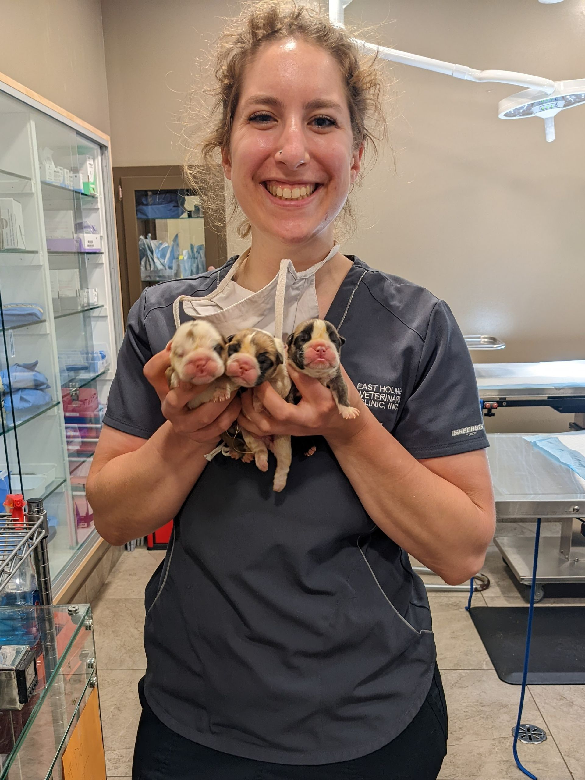 Dr. Stephanie Tarlow with New Born Puppies - Montrose, PA - Town & Country Veterinary Services