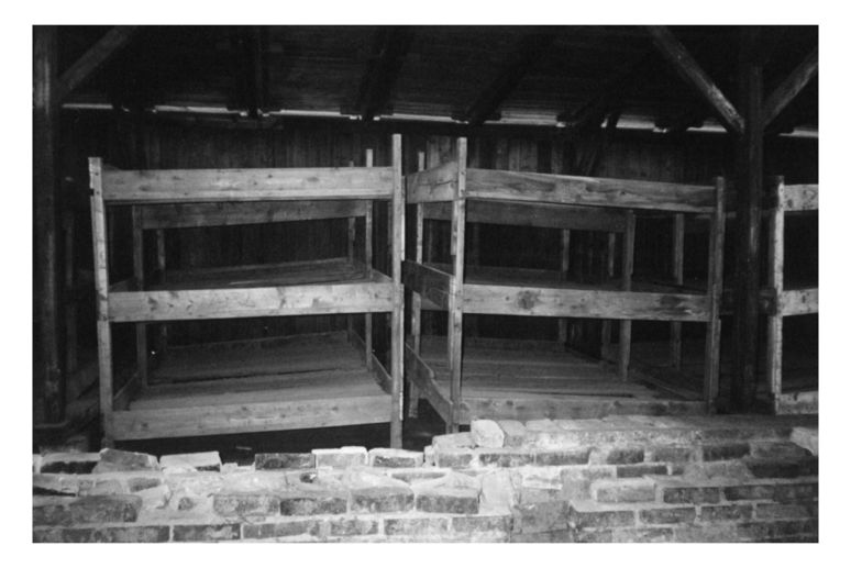774_Auschwitz_bunks