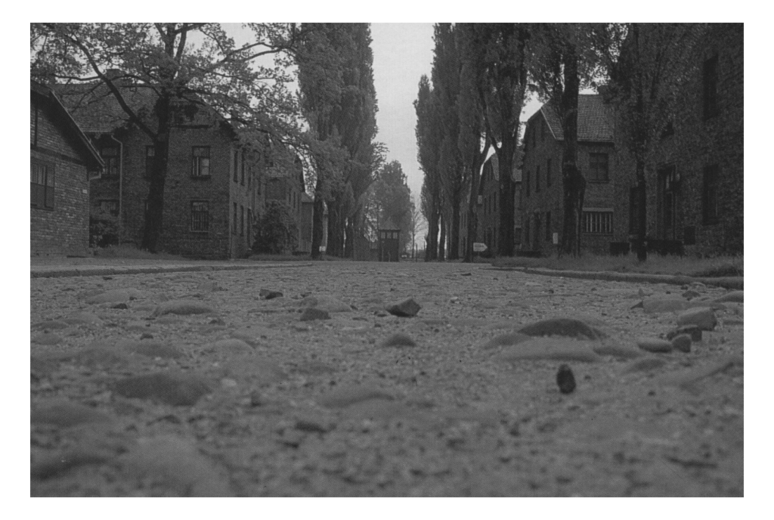 774_Auschwitz_street