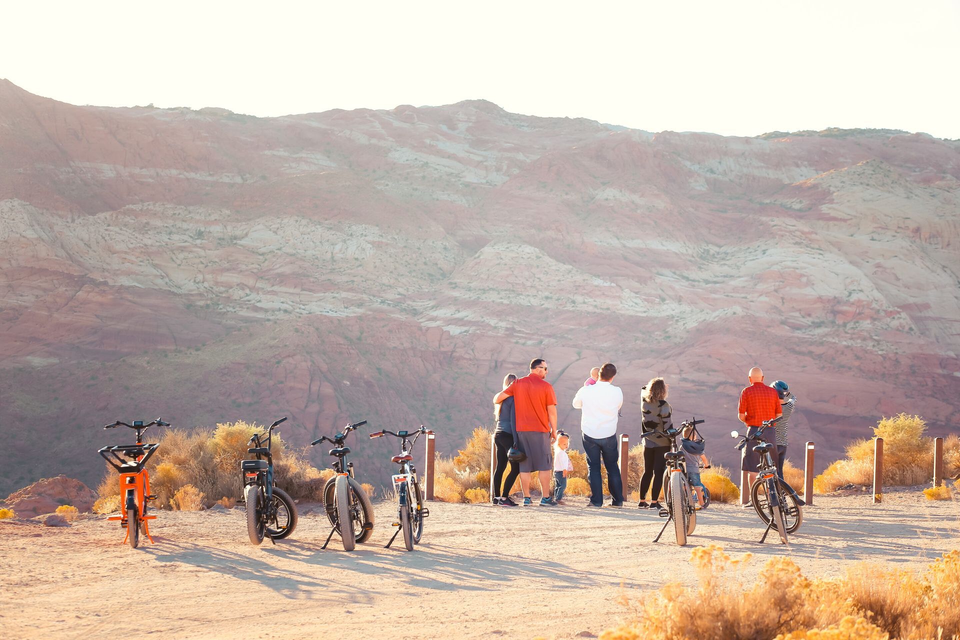 A group of people standing at the Snow Canyon Overlook.