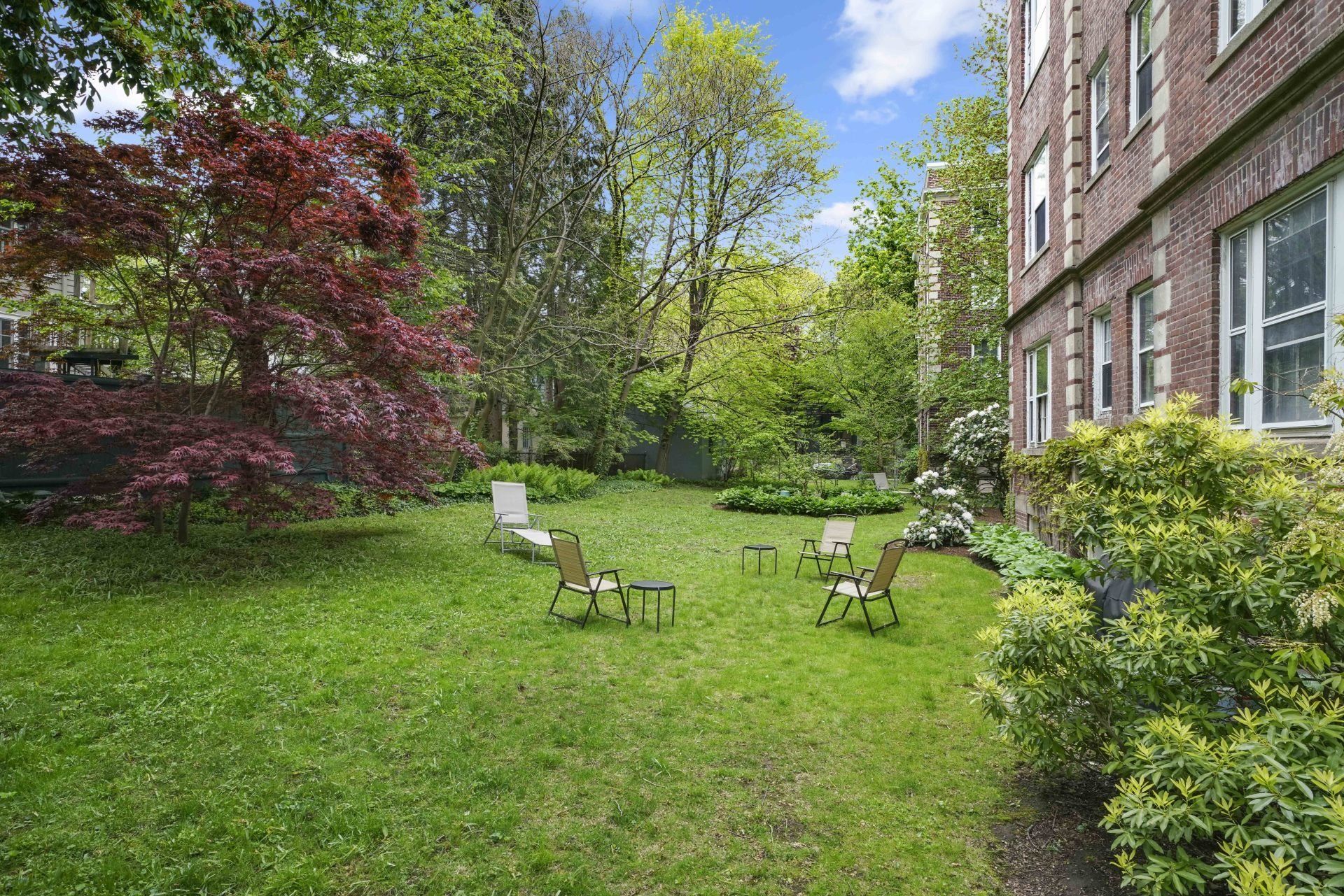 43 Linnaean Street, #22A backyard