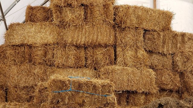 Straw Bales in Hanover, PA