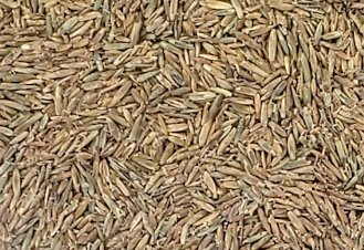 Grass Seed - Grass Seed in Hanover, PA
