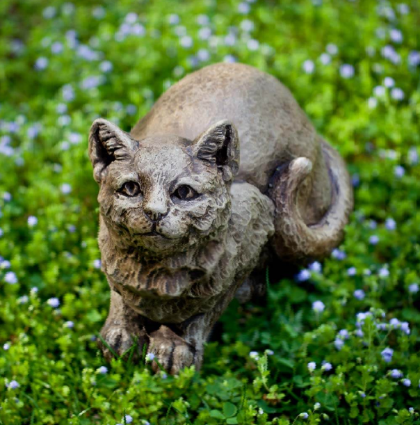 Lawn Cat — Patience Cat in Hanover, PA