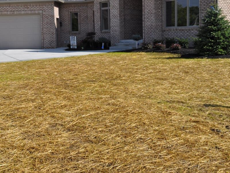 Large and Small straw bales - Hanover, PA