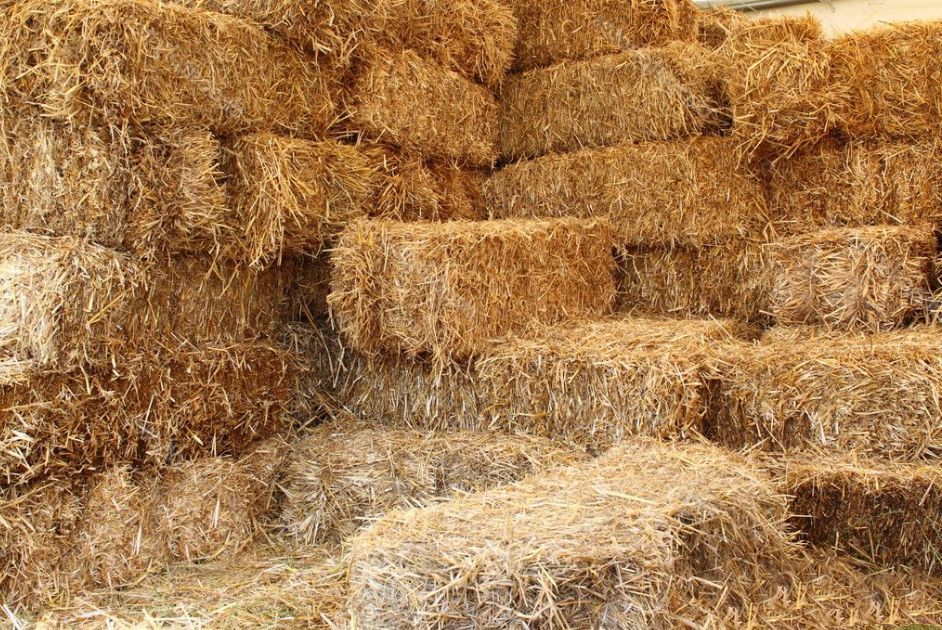 Straw Bales - Hanover, PA