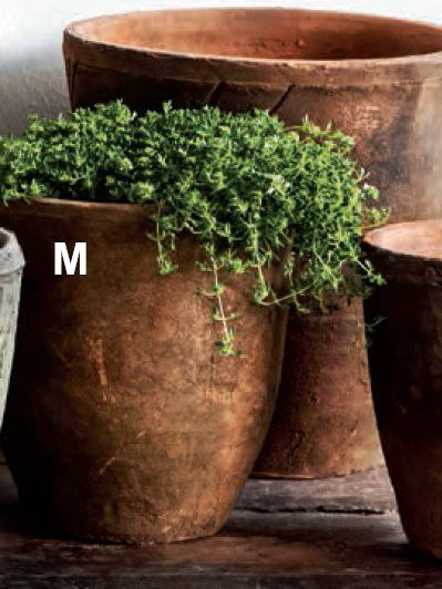 Plant Pot Clay — Medium Farmer's Pot Terra in Hanover, PA