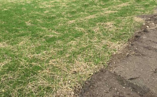 Large and Small straw bales - Hanover, PA