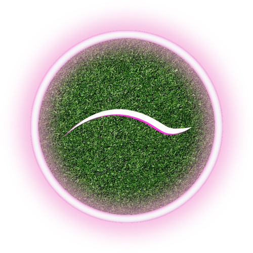 A circle of green grass with a white line in the middle.