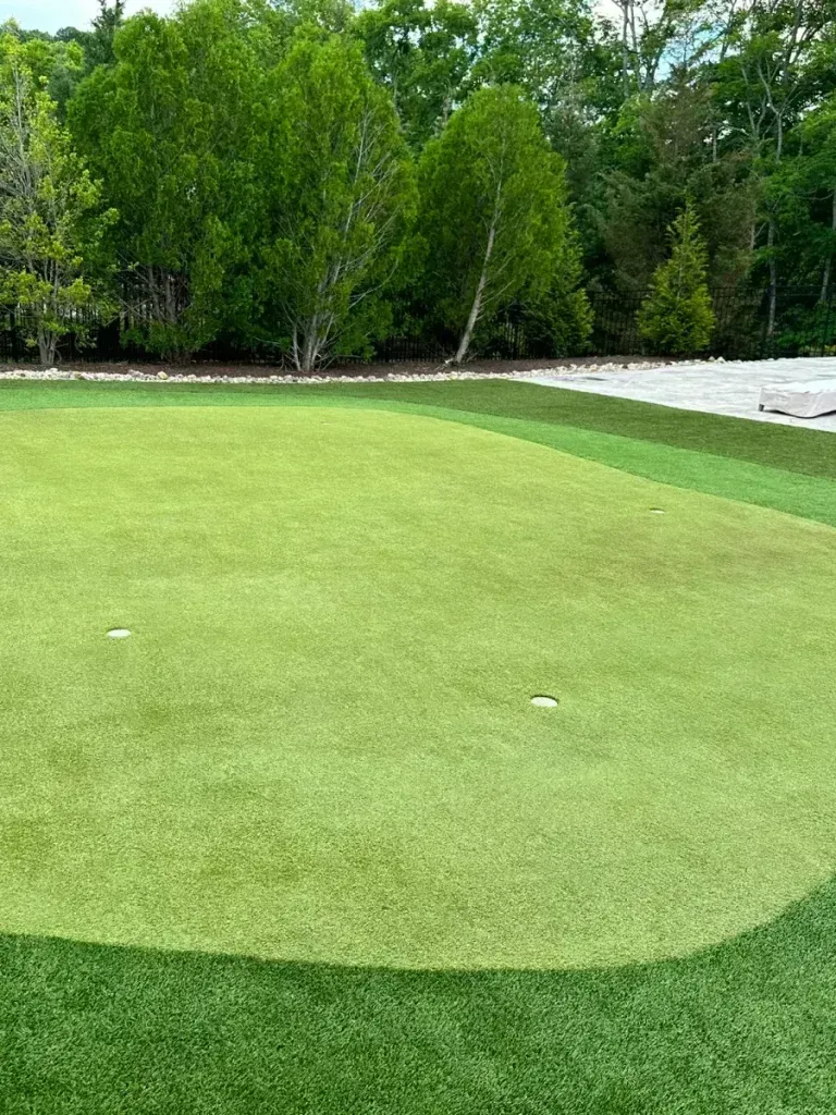 Green artificial putting green with two holes, edged by darker green turf, with trees in the background.
