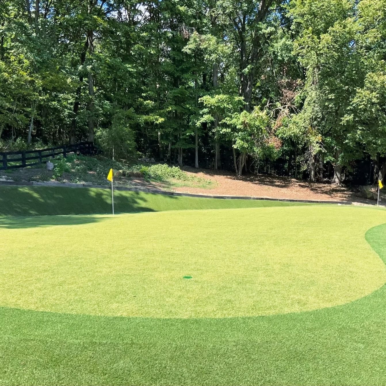 Golf putting green with yellow flag, surrounded by trees and a dark fence.