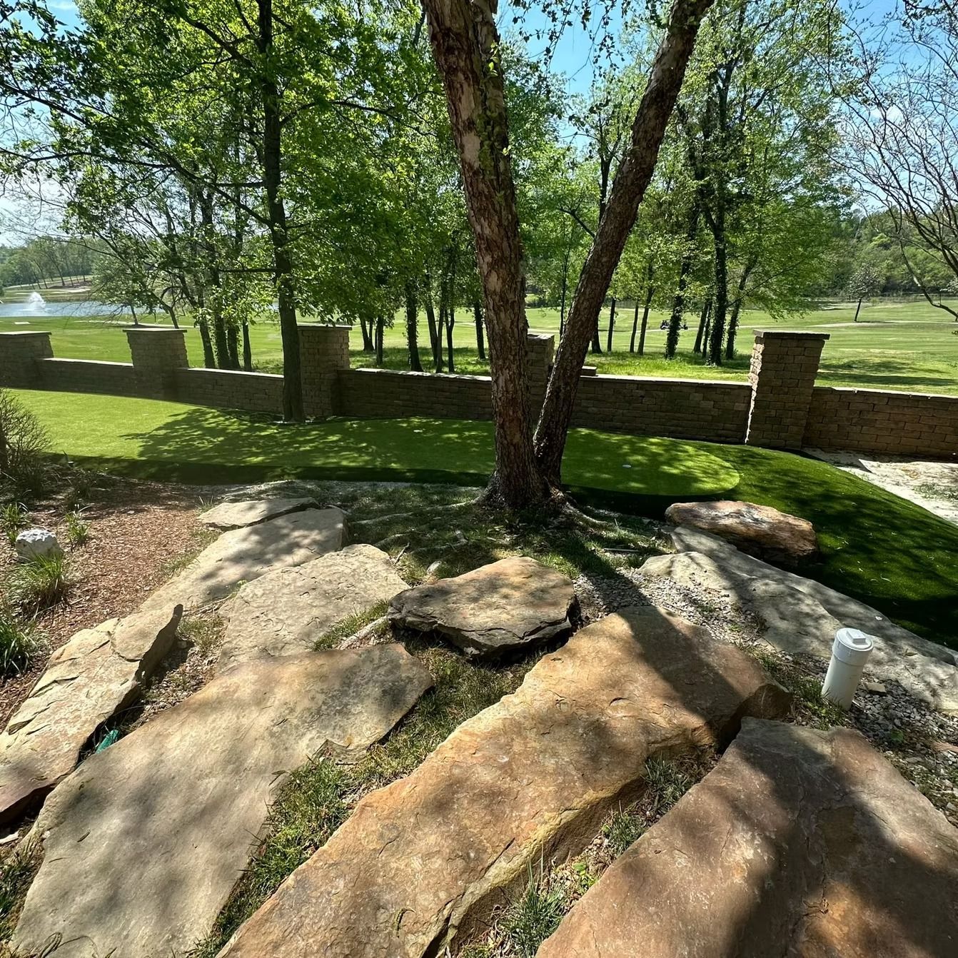 Sunny outdoor scene with large stones in foreground, tree, grassy area, and a wall with trees in the background.