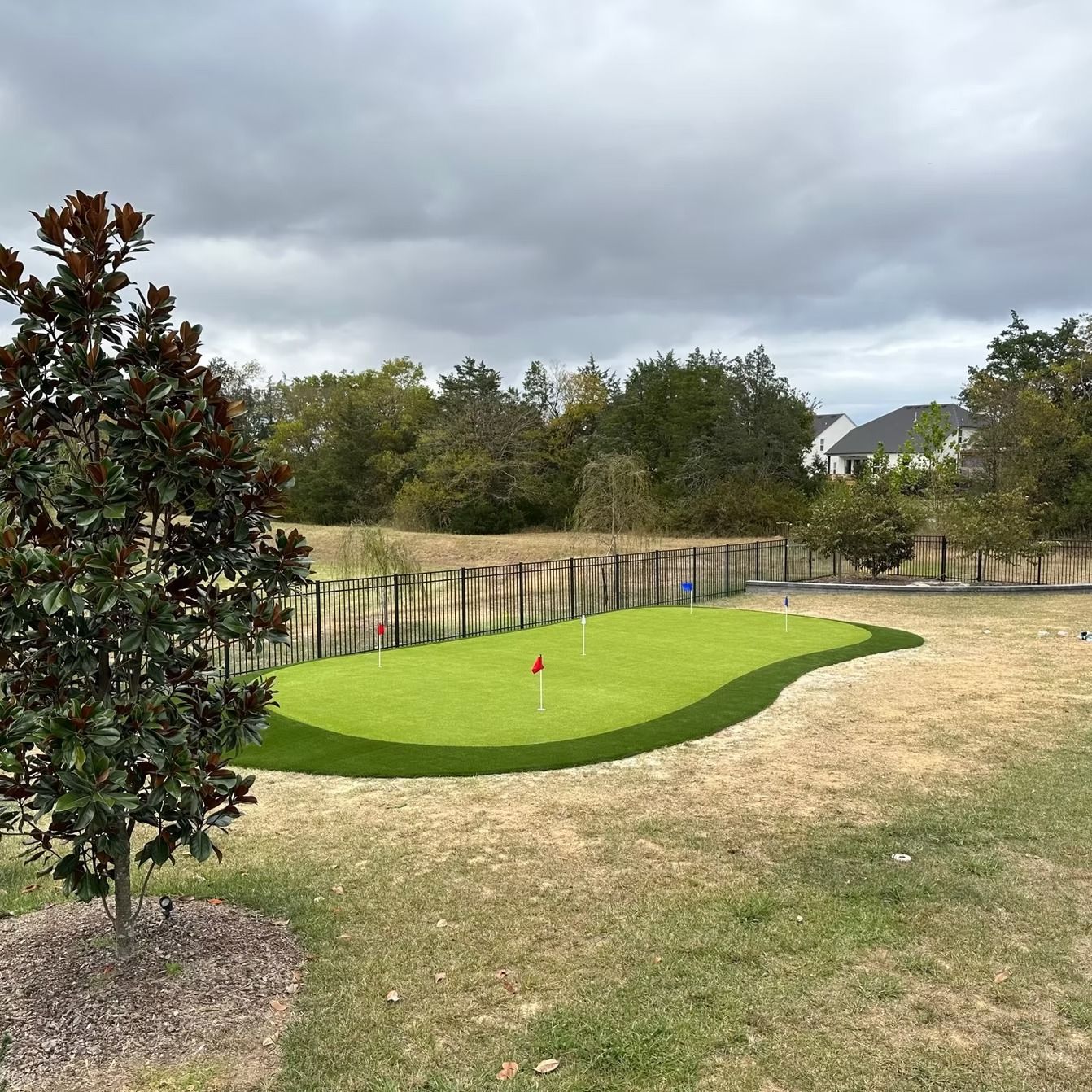 A backyard putting green with flags, surrounded by dry grass and trees under a cloudy sky.