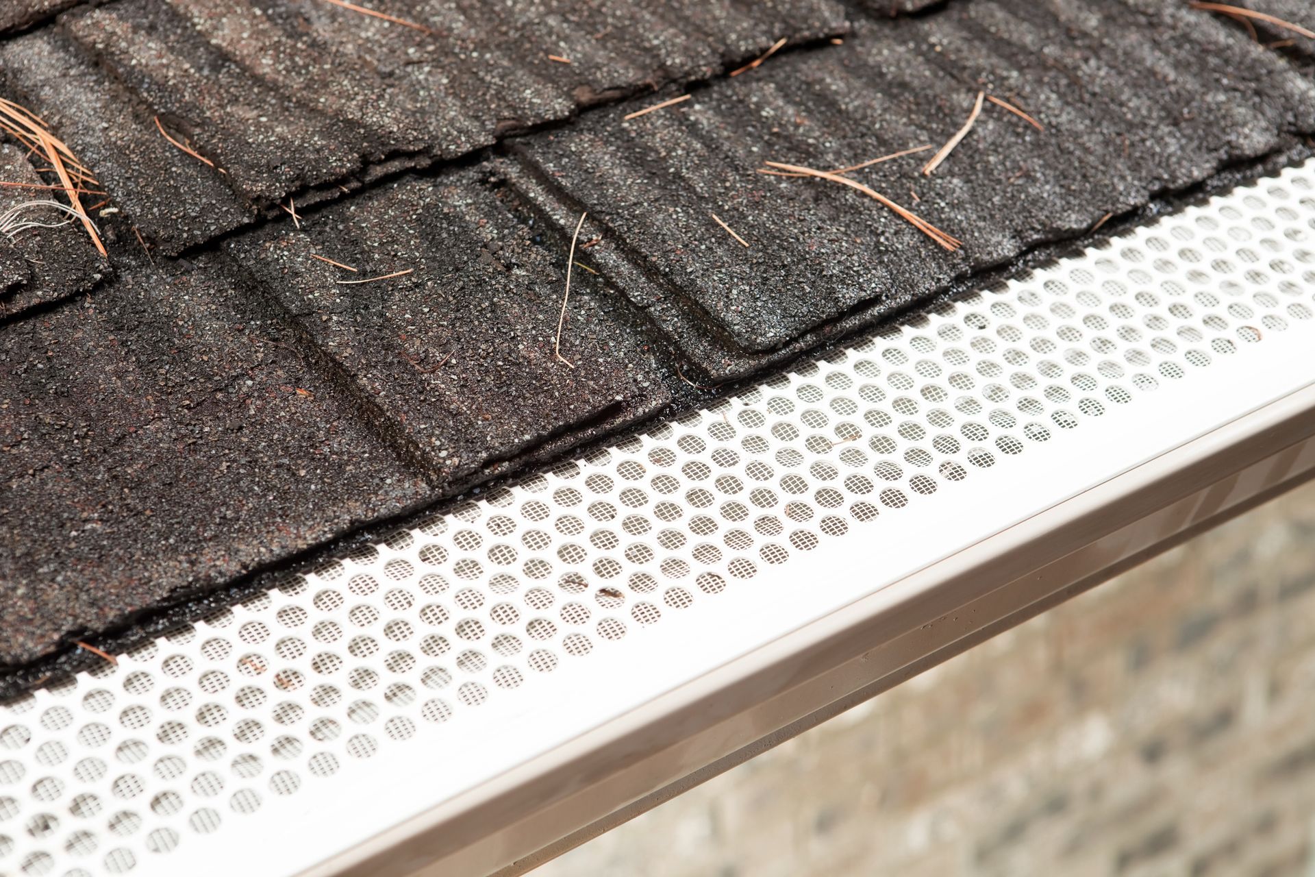 Close-up of a roof gutter with a perforated white gutter guard installed.