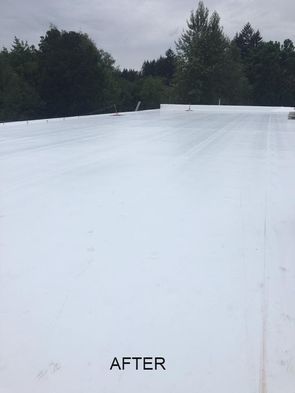 White roof with trees in background, labeled 