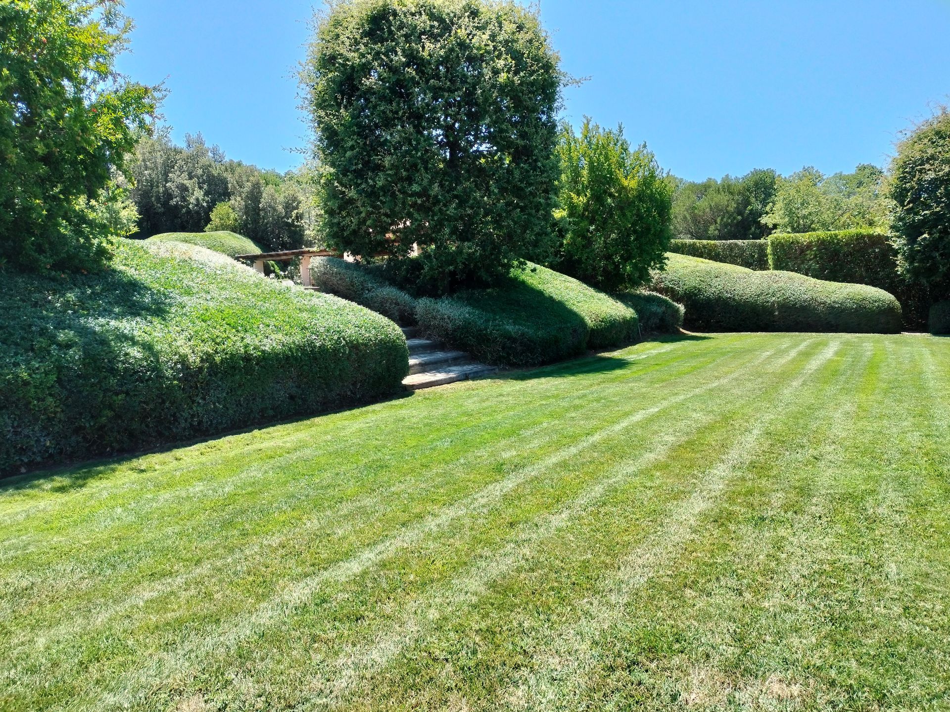Un prato verde lussureggiante con alberi e cespugli sullo sfondo
