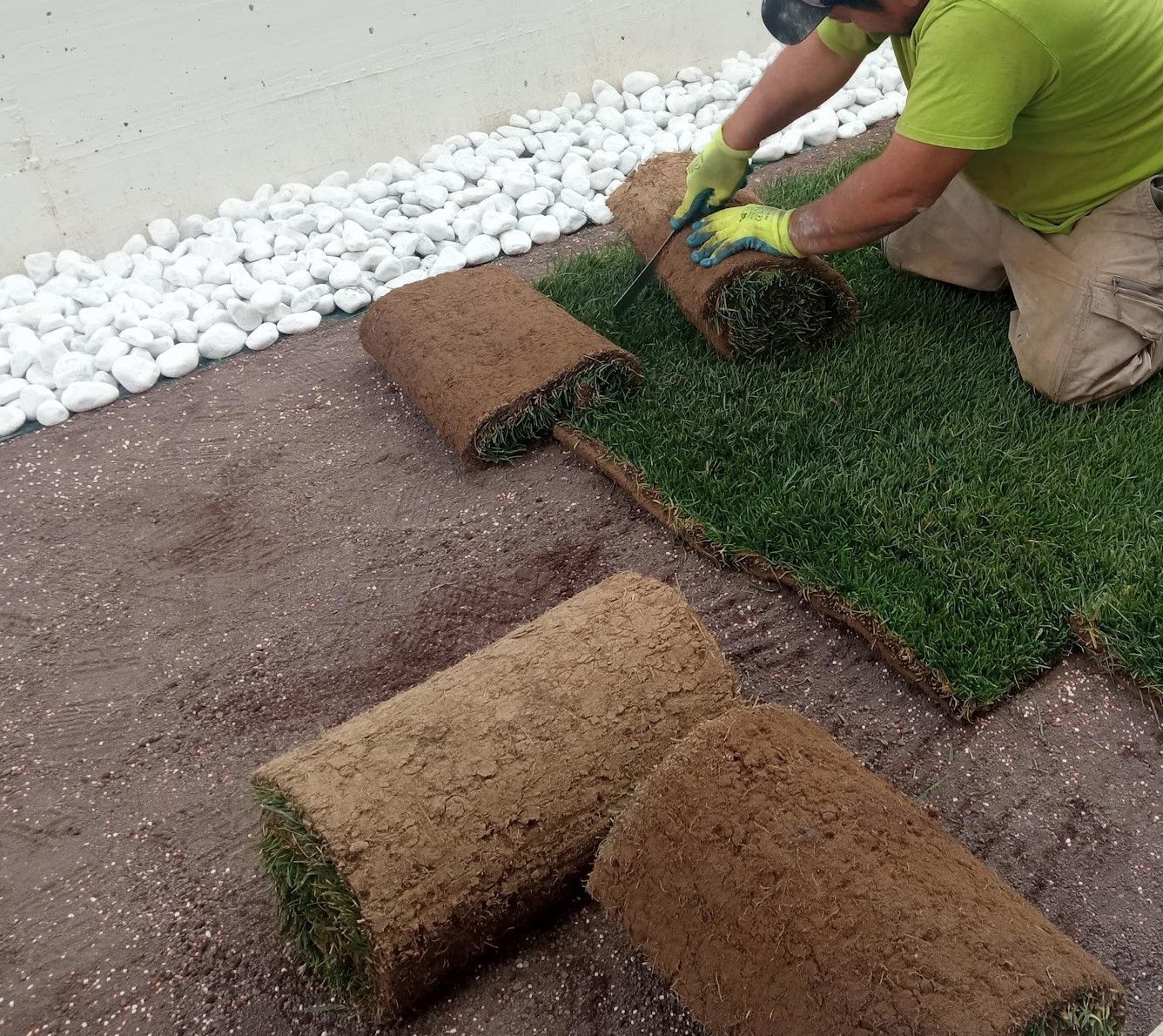 Un uomo con una camicia verde e guanti gialli sta stendendo rotoli di erba sul terreno